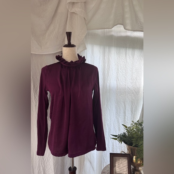 Banana Republic Tudor Inspired Oxblood Ruffle Neck Blouse - Picture 3 of 8